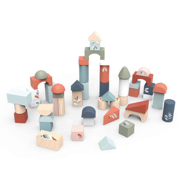 Building Blocks - 50 pc set